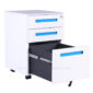 3 Drawer Mobile File Cabinet(2)
