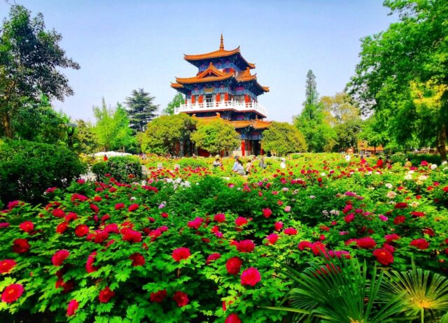 Wangcheng Park