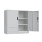 Small Metal Storage Cabinet with Locking Doors (10)